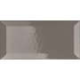 VOGUE TRANSPARENCE BISELÉE 10X20 TR GRIS (BRILLANT)