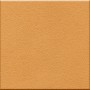 VOGUE SOLS RF MANDARINO 20X20 (R10)