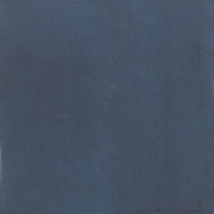 TONALITE AQUAREL NAVY BLU 15X15