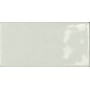 TONALITE BRIOLETTE MADREPERLA 10X20