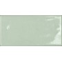 TONALITE BRIOLETTE OLIVITE 10X20