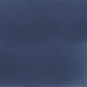 TONALITE ELEVENUANCE BLEU 11,5X11,5