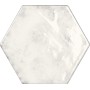 TONALITE ESAMARINE BLANC 16,2X18,5