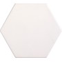 TONALITE EXAMATT ESAGONA BLANC MATT 15X17,1