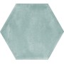 TONALITE EXANUANCE SALVIA 14X16