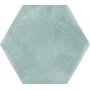 TONALITE EXANUANCE SALVIA 14X16