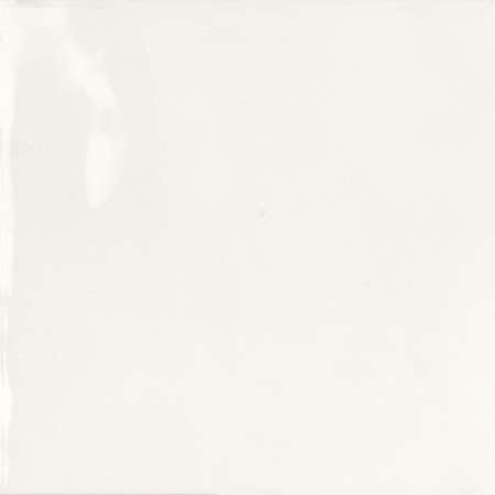 TONALITE FLUID CAMELIA GLOSSY 12,4X12,4