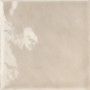 TONALITE FLUIDE NOISETTE GLOSSY 12,4X12,4