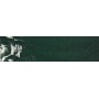 TONALITE JOYEUX AVOCAT 10X40