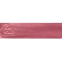 TONALITE JOYEUSE PITAYA 10X40