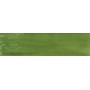 TONALITE JOYEUX KIWI 10X40