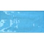 TONALITE JOYEUX AZUR 10X20