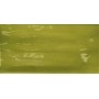 TONALITE JOYEUSE LIME 10X20