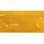 TONALITE JOYEUX MANGUE 10X20