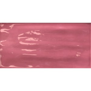 TONALITE JOYEUSE PITAYA 10X20