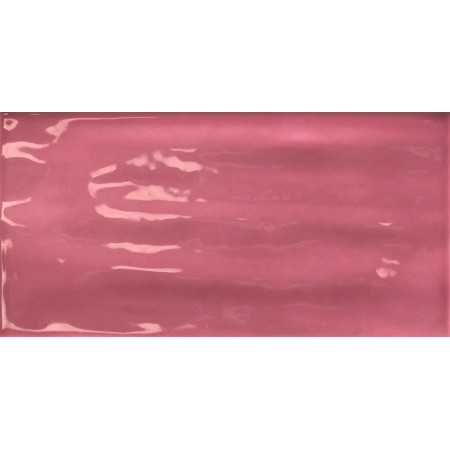 TONALITE JOYEUSE PITAYA 10X20