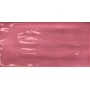 TONALITE JOYEUSE PITAYA 10X20