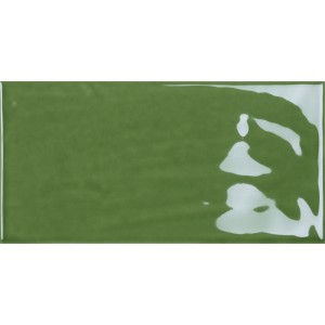 TONALITE JOYEUX KIWI 10X20