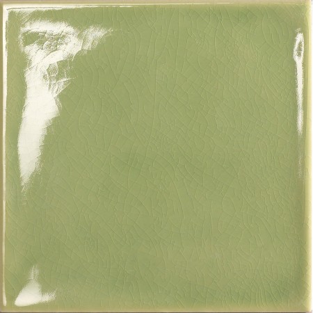 TONALITE KRAKLÈ HERBE CLAIRE 15X15