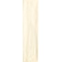 TONALITE NATURE BONE 10X40