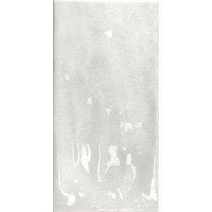 TONALITE NATURE CENDRE 10X20