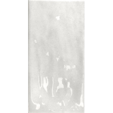TONALITE NATURE CENDRE 10X20