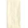 TONALITE NATURE BONE 10X20