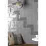 TONALITE NATURE CENDRE 10X20
