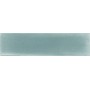 TONALITE NUANCE SAUGE 7X28