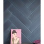 TONALITE NUANCE BLEU 7X28
