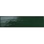 TONALITE TABLEAU DE PEINTURE BOUTEILLE 10X40