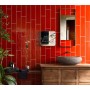 TONALITE PAINTBOARD ROUGE 10X40