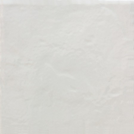 TONALITE PROVENZALE BLANC NEIGE 15X15