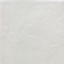 TONALITE PROVENZALE BLANC NEIGE 15X15