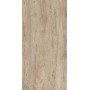 CASTELVETRO CERAMICHE SABLE RUSTIQUE 40X120 RETT. sp.20mm