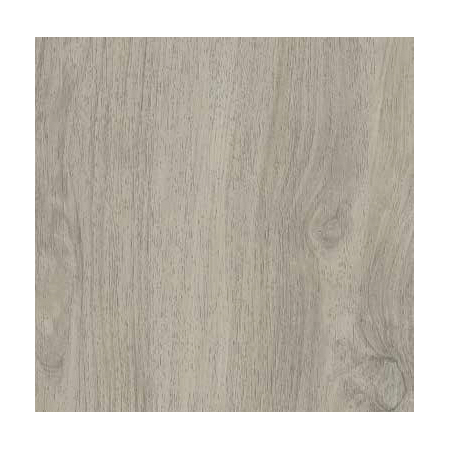 CASTELVETRO CERAMICHE More_outfit Gris 60x60 20mm