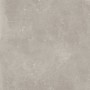 CASTELVETRO CERAMICHE Absolute Gris 60x60 10mm