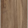 CASTELVETRO CERAMICHE AEQUA CASTOR 60X60 RETT sp 20mm