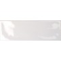TONALITE SILK GESSO PLUS 10X30