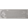 TONALITE SILK POUDRE PLUS 10X30