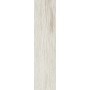 AXIS BIRCH NATURALE 15X60