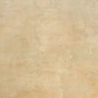 NAXOS PICTURA CANOSA SOFT 60X60 RECTIFIÉ R9