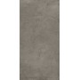 BOSTON ASH NATURALE 60X120 rectifié