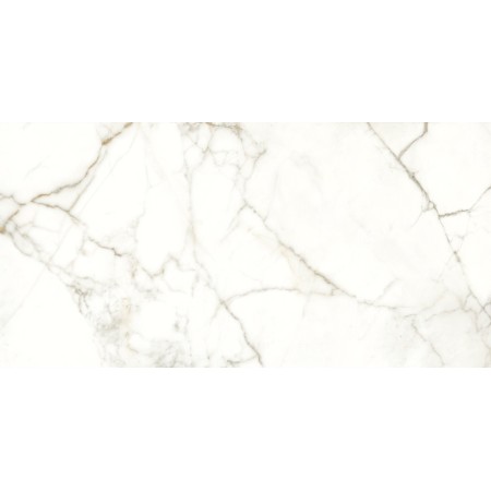 NAXOS RHAPSODY ÉMOTION LEVIGATO 60X120 RECTIFIÉ