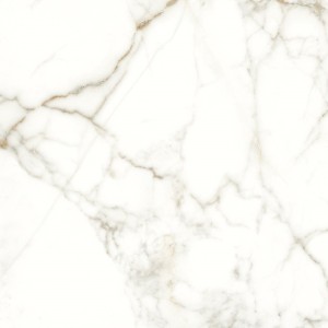 NAXOS RHAPSODY ÉMOTION LEVIGATO 60X60 RECTIFIÉ