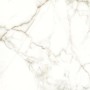 NAXOS RHAPSODY ÉMOTION LEVIGATO 60X60 RECTIFIÉ