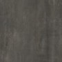 NAXOS TIMELESS ALUMINIUM NATUREL 60X60 R9