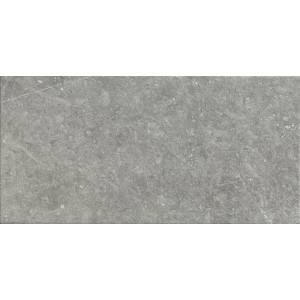 MARAZZI MYSTONE_BLUESTONE20 GRIS 50x100 RECTIFIÉ 20mm