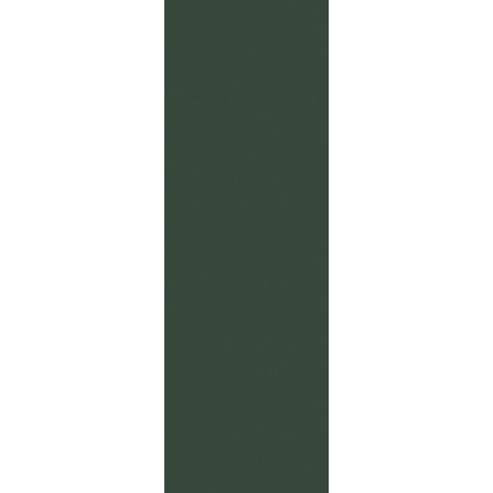 CERAMIQUE CRAYONS MOSS NATUREL 40X120