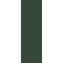CERAMIQUE CRAYONS MOSS NATUREL 40X120